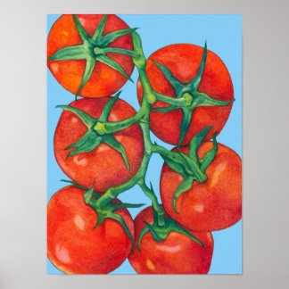 Poster bleu tomates rouges