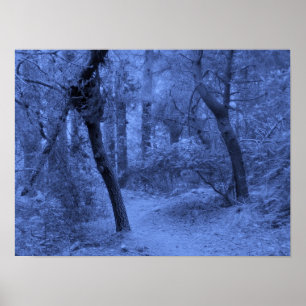 Poster Bleus de forêt