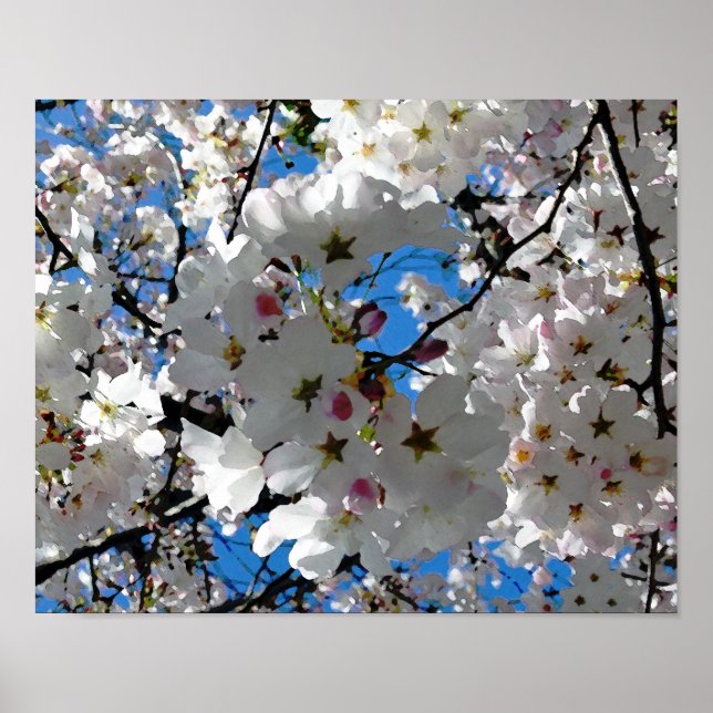 Poster Blisser Blossoms (Devant)