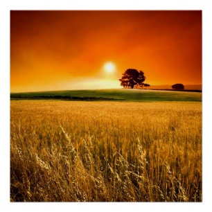 Poster Blood-Red Sunset