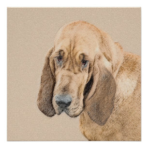 Poster Bloodhound Peinture - Joli chien d'origine art