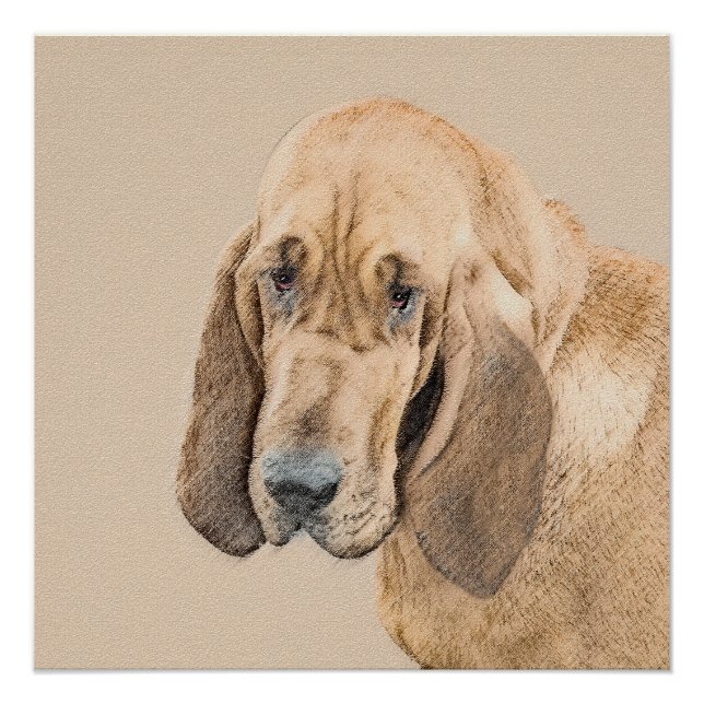 Poster Bloodhound Peinture - Joli chien d'origine art (Devant)