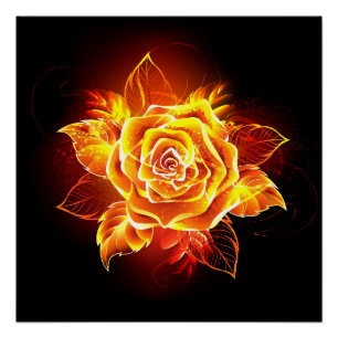 Poster Blooming Fire Rose
