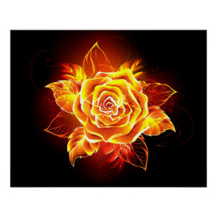 Poster Blooming Fire Rose
