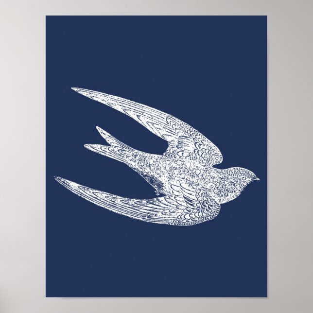 Poster Blue and White Flying Swallow (Devant)