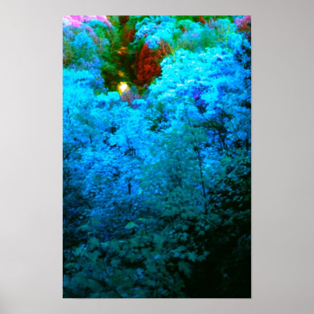 Poster Blue Colorized Autumn Leaves (Devant)