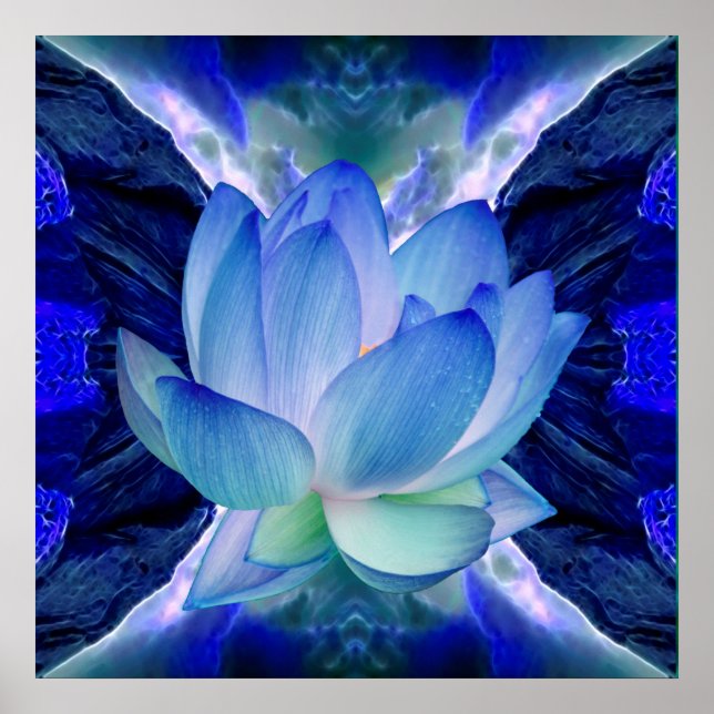 Poster Blue lotus flower (Devant)