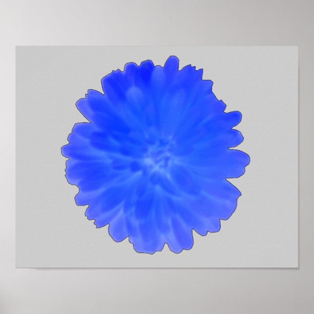 Poster Blue Marigold (Devant)