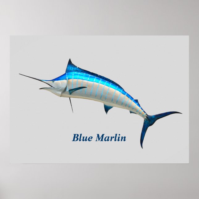 Poster Blue Marlin (Devant)