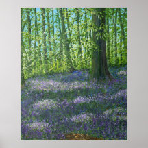 Poster Bluebell Wood