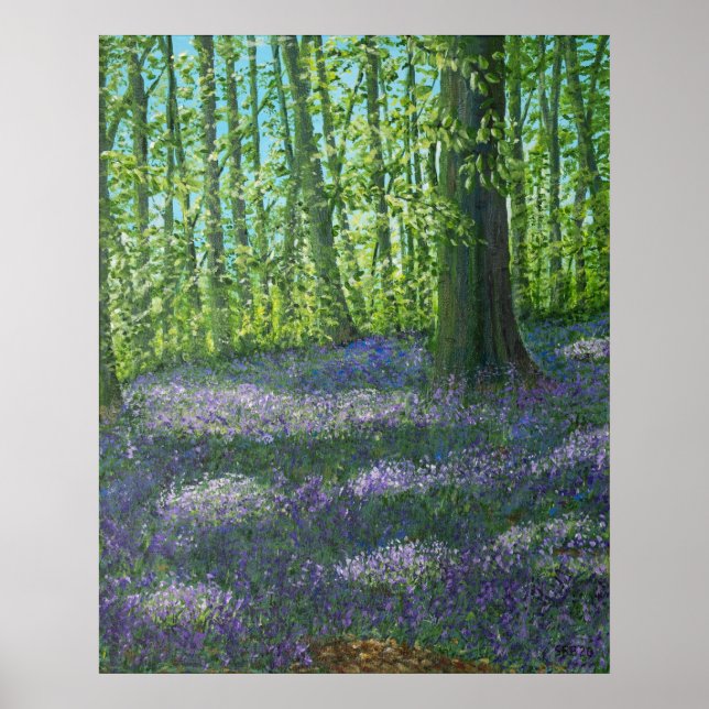 Poster Bluebell Wood (Devant)