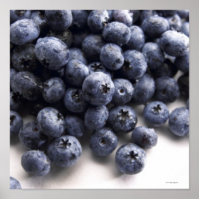 Poster Blueberries 2 (Devant)