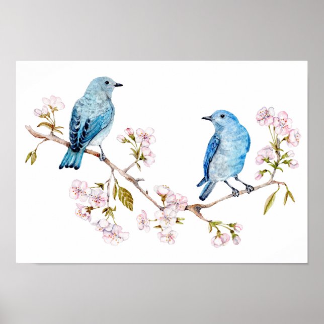 Poster Bluebirds de montagne sur la branche Sakura (Devant)