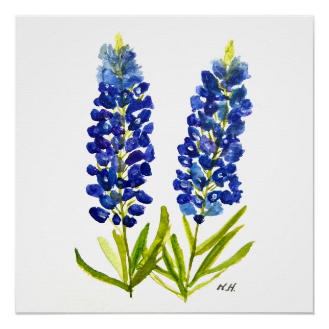 Poster Bluebonnets Texas State Flowers Lupine Watercolor (Devant)
