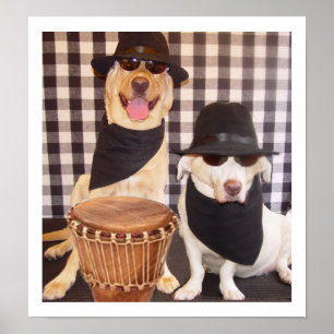 Poster Blues Brothers Labs