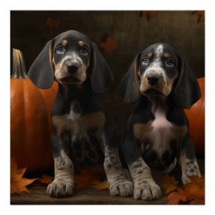 Poster Bluetick Coonhound Chiot Automne Citrouille de pla