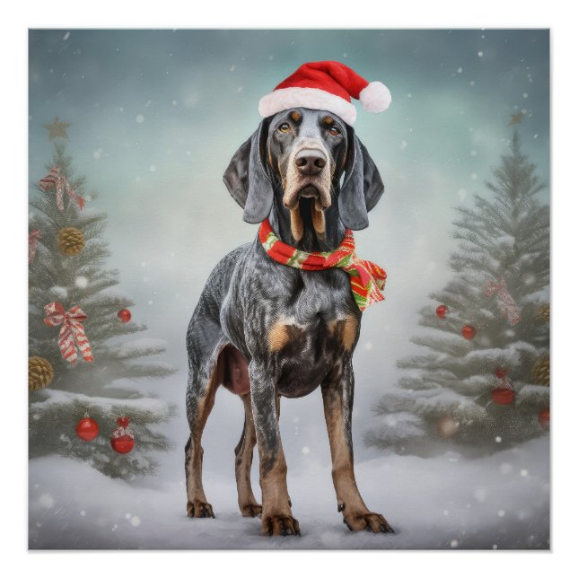 Poster Bluetick Coonhound dans la neige de Noël (Devant)
