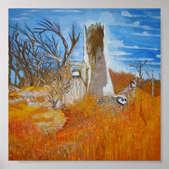 Poster Bob White Quail (Devant)