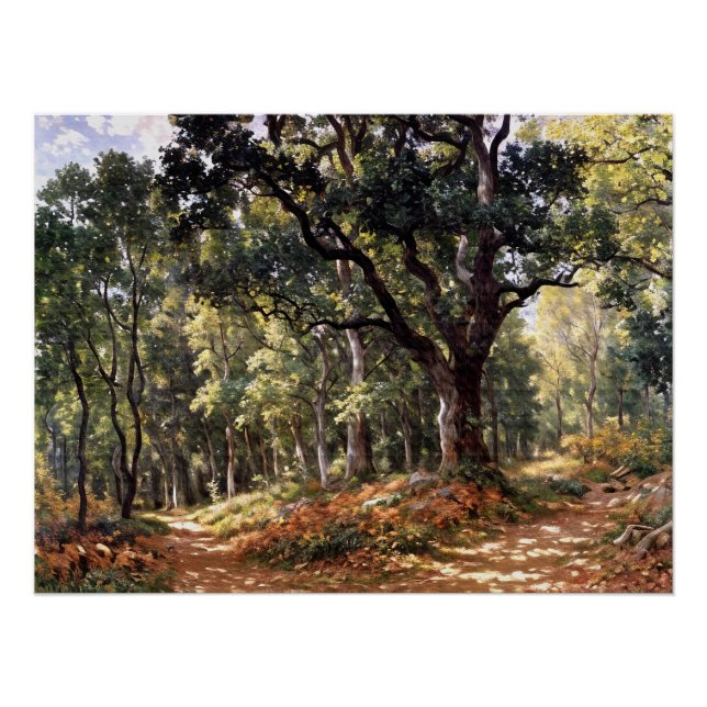 Poster Bodmer Oak (Devant)