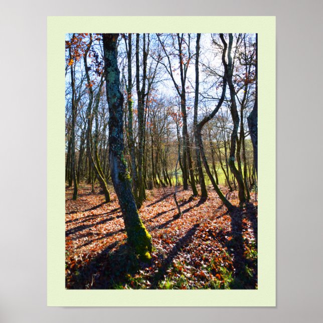 Poster Bois d'hiver en France (Devant)