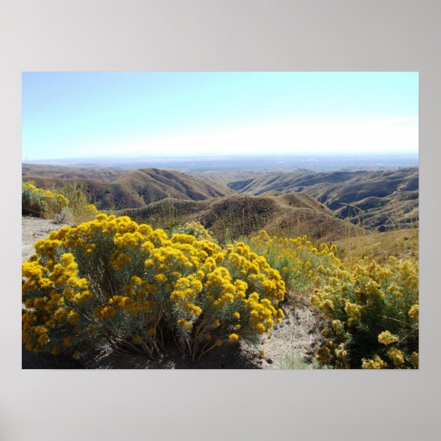 Poster Boise Foothills (Devant)