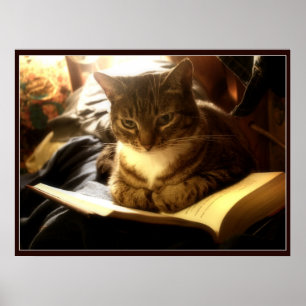 Poster Bon livre