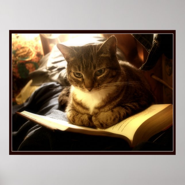 Poster Bon livre (Devant)