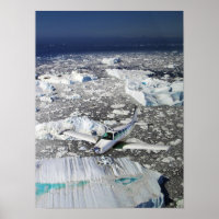 Bonanza sur le Groenland