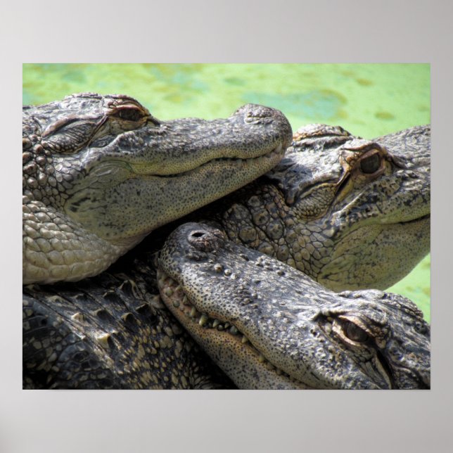 Poster Bons (Devant)