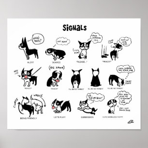 Poster Boogie Signes par Lili Chin