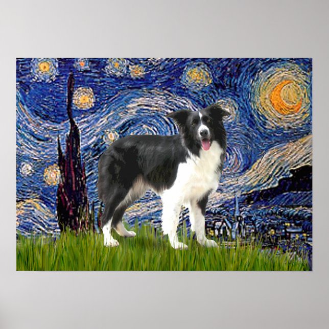 Poster Border Collie (Z) - Nuit étoilée (Devant)