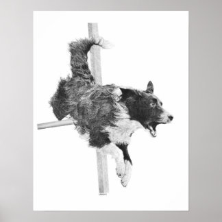 Poster Bordure Collie Agility Chien Canine Art Chien Dess