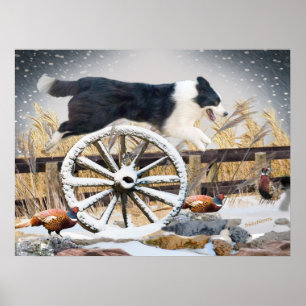 Poster Bordure Collie Roue de chariot de saut