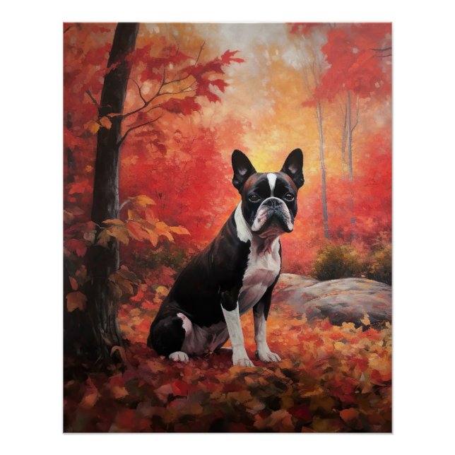 Poster Boston Terrier dans les feuilles d'automne qui tom (Devant)