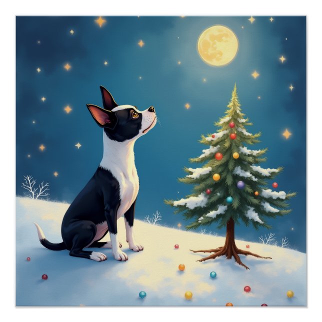 Poster Boston Terrier Midnight Star-Gazing Noël (Devant)