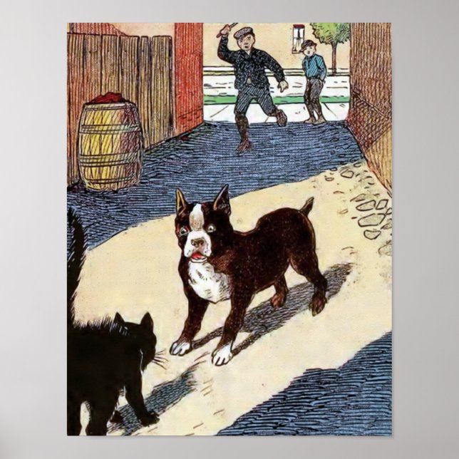 Poster Boston Terrier rencontre un chat (Devant)