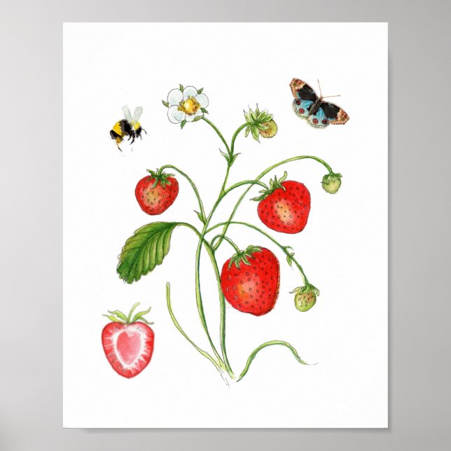 Poster botanique de fraise vintage (Devant)