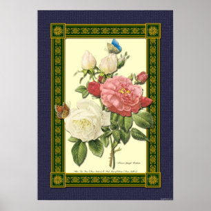 Poster botanique Rose rouge et blanc