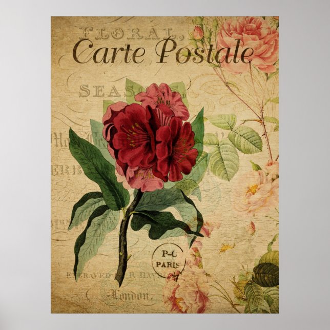Poster botanique vintage - Rhododenron (Devant)