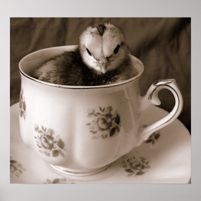 Poster Bottes dans une tasse de thé (Devant)