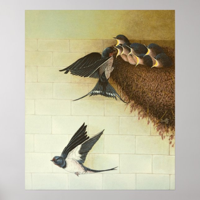 Poster Bouches affamées 2011 (Devant)