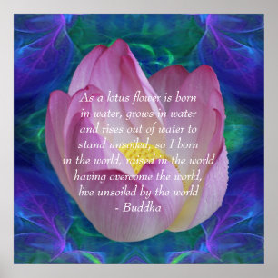 Poster Bouddha citation Lotus flower