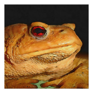 Poster Boufo Bufo Bufo, Boufo noir