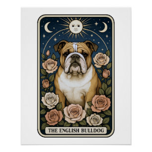 Poster Bouledogue anglais