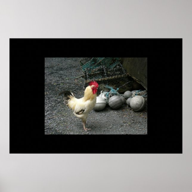 Poster Boules de coq et de canon (Devant)