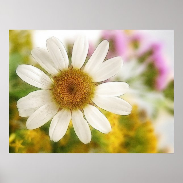 Poster Bouquet de fleurs - Marguerite blanche (Devant)