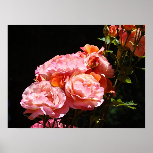 Poster Bouquet de fleurs rose estampes florales (Devant)