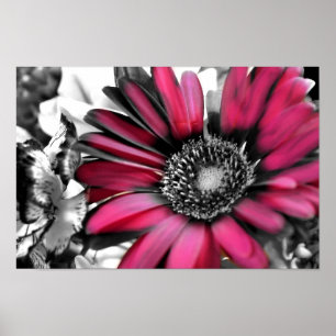 Poster Bouquet de ressort dans noir et le blanc