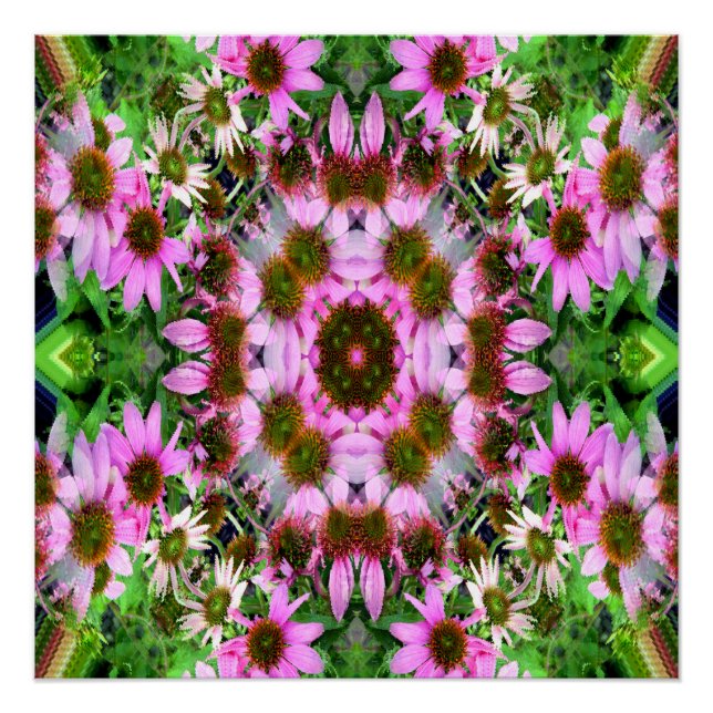 Poster Bouquet d'Echanicea... (Devant)