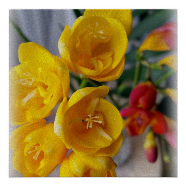 Poster bouquet freesias (Devant)